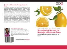 Portada del libro de Secado de Cáscara de Naranja y Hojas de Bore