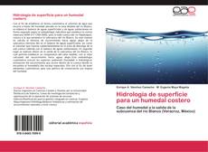 Buchcover von Hidrología de superficie para un humedal costero