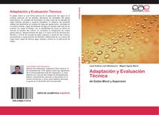 Capa do livro de Adaptación y Evaluación Técnica 