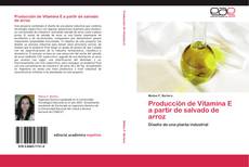 Capa do livro de Producción de Vitamina E a partir de salvado de arroz 