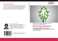 Bookcover of Etanol Lignocelulósico