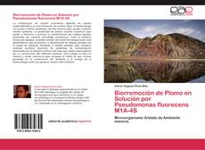 Обложка Biorremoción de Plomo en Solución por Pseudomonas fluorecens M1A-4S