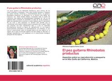 Capa do livro de El pez guitarra Rhinobatos productus 