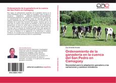 Bookcover of Ordenamiento de la ganadería en la cuenca del San Pedro en Camagüey