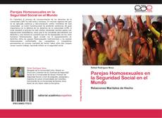 Portada del libro de Parejas Homosexuales en la Seguridad Social en el Mundo