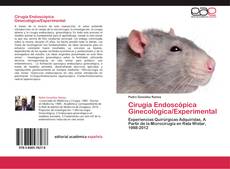Buchcover von Cirugía Endoscópica Ginecológica/Experimental