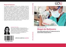 Biogel de Quitosano kitap kapağı