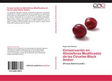 Bookcover of Conservación en Atmósferas Modificadas de las Ciruelas Black Amber