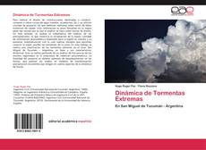 Bookcover of Dinámica de Tormentas Extremas