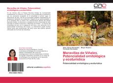 Buchcover von Maravillas de Viñales. Potencialidad ornitológica y ecoturística