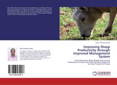 Improving Sheep Productivity through Improved Management System kitap kapağı
