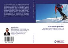 Capa do livro de Risk Management 