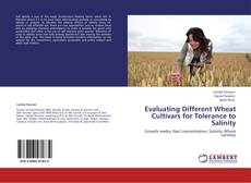 Copertina di Evaluating Different Wheat Cultivars for Tolerance to Salinity