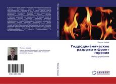 Capa do livro de Гидродинамические разрывы и фронт горения 