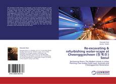 Copertina di Re-excavating & refurbishing water-scape at Cheonggyecheon (청계천) Seoul