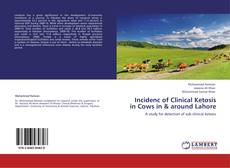 Buchcover von Incidenc of Clinical Ketosis in Cows in & around Lahore
