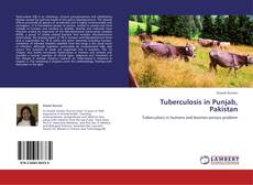 Capa do livro de Tuberculosis in Punjab, Pakistan 