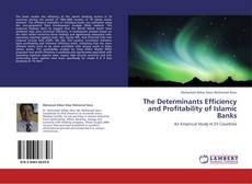Capa do livro de The Determinants Efficiency and Profitability of Islamic Banks 