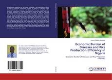 Buchcover von Economic Burden of Diseases and Rice Production Efficiency in Nigeria