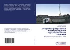 Couverture de Открытая разработка месторождений крутопадающих залежей
