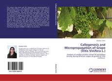 Bookcover of Callogenesis and Micropropagation of Grape (Vitis Vinifera L.)