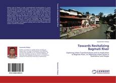 Towards Revitalizing Bagmati River的封面