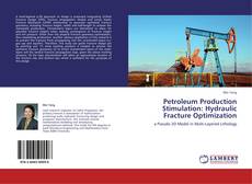 Copertina di Petroleum Production Stimulation: Hydraulic Fracture Optimization