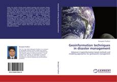 Bookcover of Geoinformation techniques in disaster management