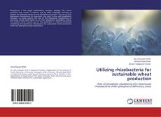 Capa do livro de Utilizing rhizobacteria for sustainable wheat production 