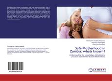 Portada del libro de Safe Motherhood in Zambia: whats known?