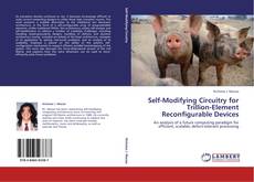Bookcover of Self-Modifying Circuitry for Trillion-Element Reconfigurable Devices