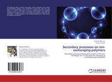 Couverture de Secondary processes on ion-exchanging polymers