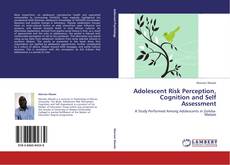 Copertina di Adolescent Risk Perception, Cognition and Self Assessment