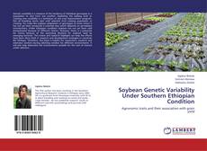 Soybean Genetic Variability Under Southern Ethiopian Condition kitap kapağı