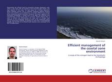 Copertina di Efficient management of  the coastal zone environment