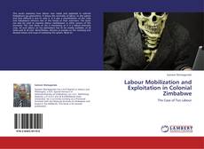 Labour Mobilization and Exploitation in Colonial Zimbabwe kitap kapağı