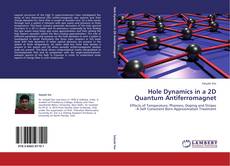 Bookcover of Hole Dynamics in a 2D Quantum Antiferromagnet