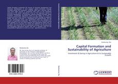 Couverture de Capital Formation and Sustainability of Agriculture