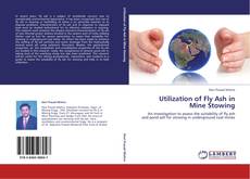 Utilization of Fly Ash in Mine Stowing kitap kapağı