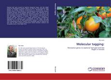 Molecular tagging: kitap kapağı