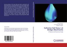 Capa do livro de Cohesive Soil Scour at Bridge Abutments 