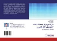 Copertina di Identification & analysis of suitable drug like compound for NDM-1