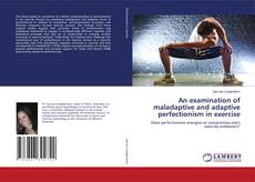 Bookcover of An examination of maladaptive and adaptive perfectionism in exercise