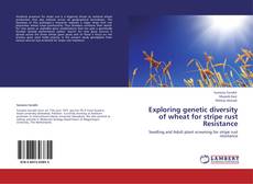 Bookcover of Exploring genetic diversity of wheat for stripe rust Resistance