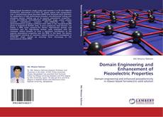 Buchcover von Domain Engineering and Enhancement of Piezoelectric Properties