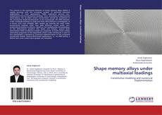 Copertina di Shape memory alloys under multiaxial loadings