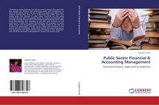 Public Sector Financial & Accounting Management的封面