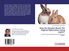 How Do Oocytes Reach The Highest Maturation Using Leptin? kitap kapağı