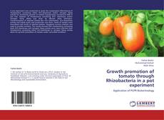 Growth promotion of tomato through Rhizobacteria in a pot experiment kitap kapağı