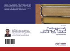 Effective anisotropic medium of a VTI layered medium by CSEM modeling的封面